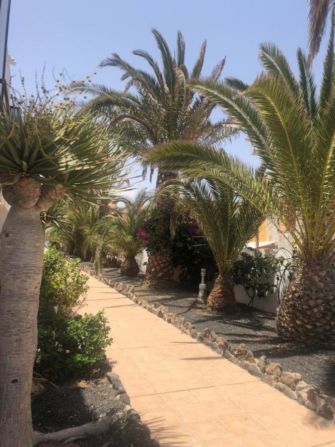 Apartamento Smile Complex Amaya Fuerteventura 코스타 데 안티과 외부 사진