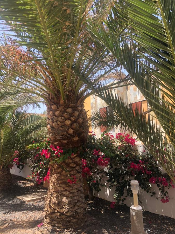 Apartamento Smile Complex Amaya Fuerteventura 코스타 데 안티과 외부 사진